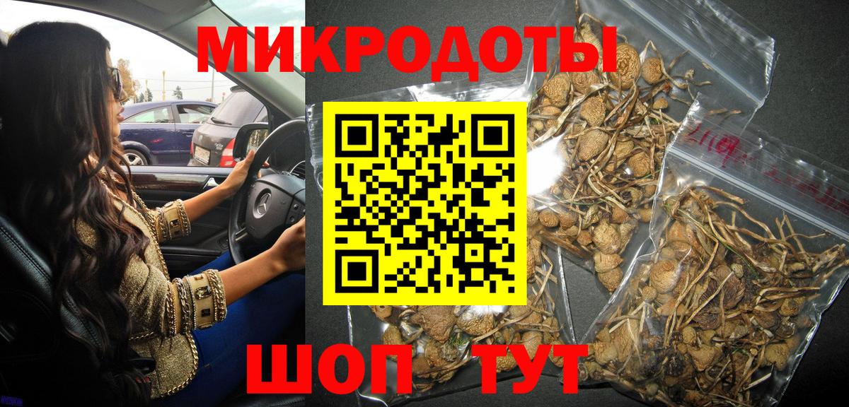 Новотроицк  Псилоцибиновые грибы MAGIC MUSHROOMS  Псилоцибиновые грибы MAGIC MUSHROOMS  Вход с VPN 